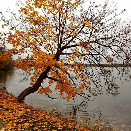 Wiatr I Woda, W Sercu Mazur, Appartamento